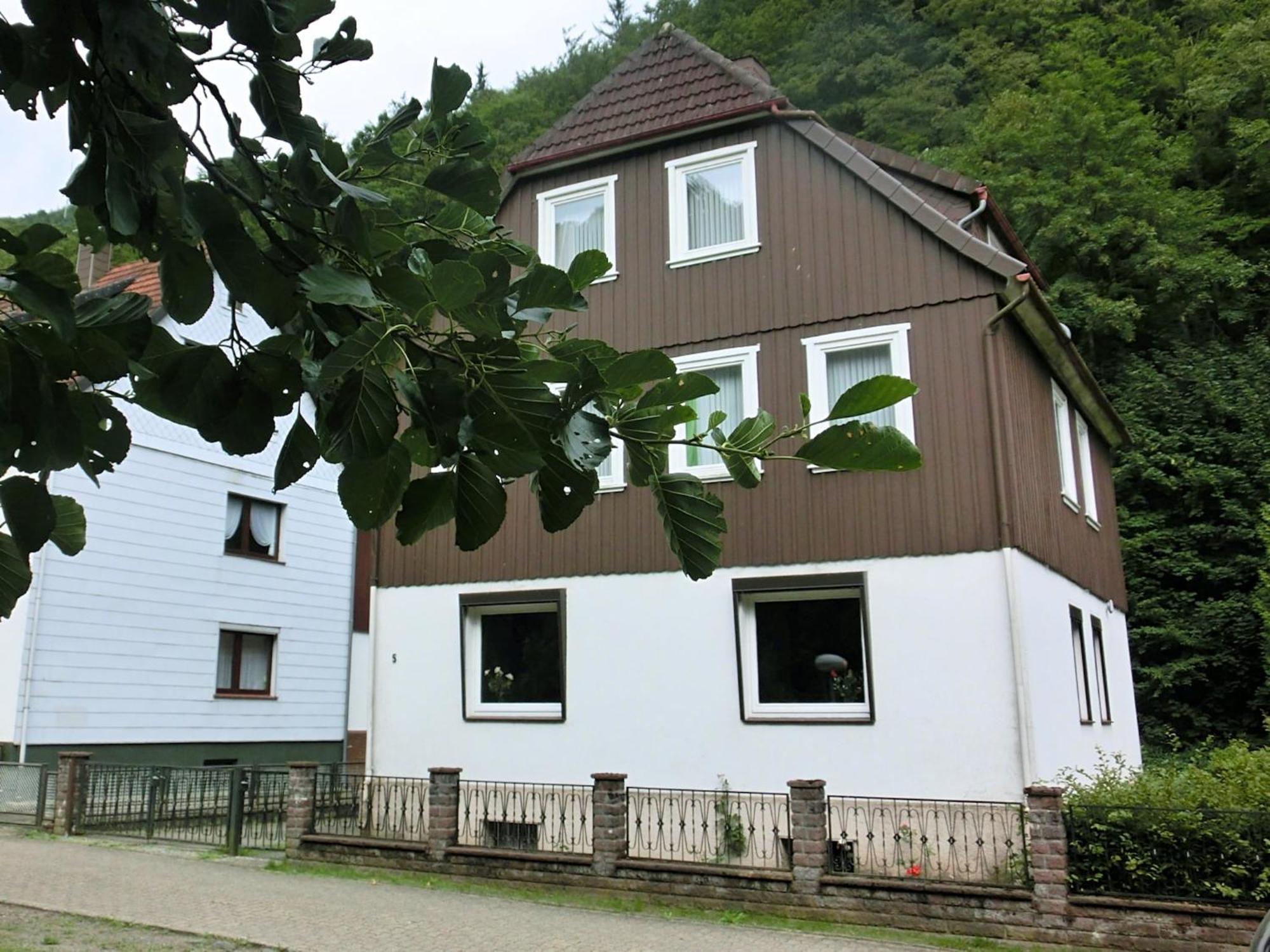 Spacious Group House In The Harz Region Цорге Экстерьер фото