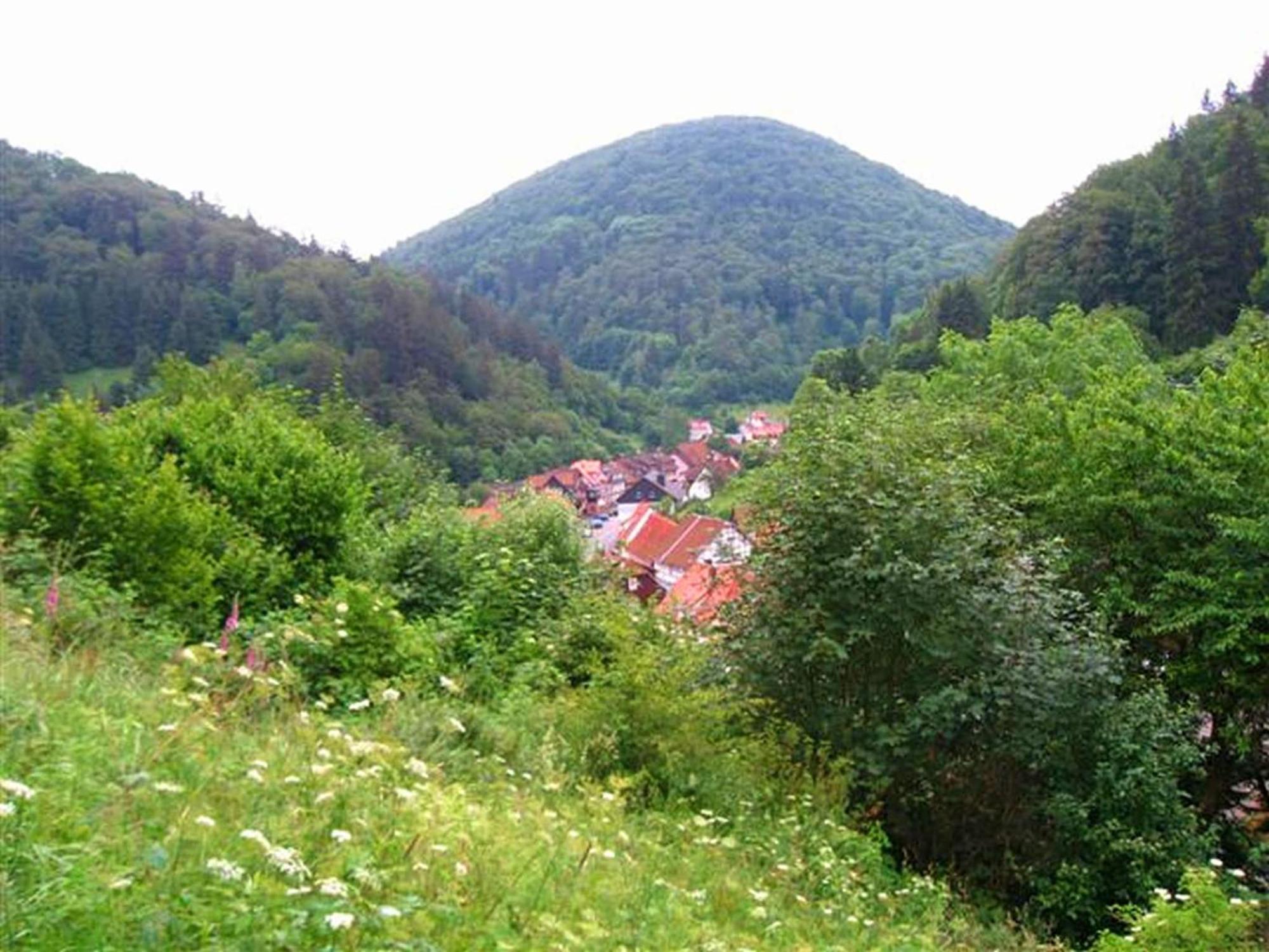 Spacious Group House In The Harz Region Цорге Экстерьер фото